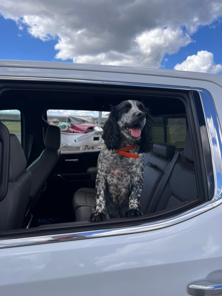 Dove Hunting